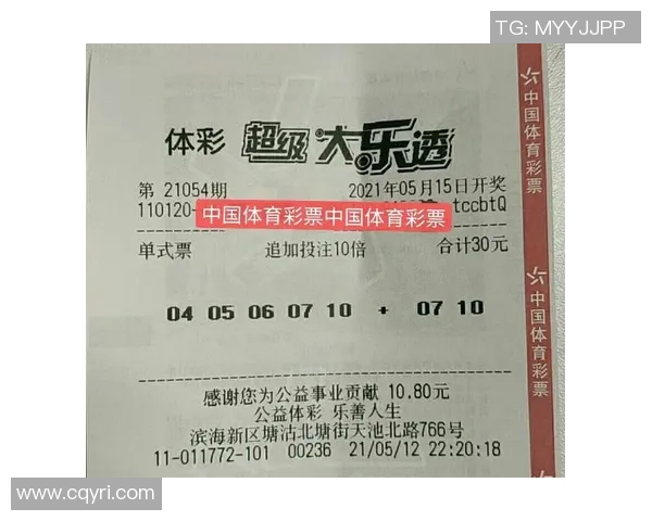 西安排球队的奋斗历程与洲际杯荣耀之路的特别报道