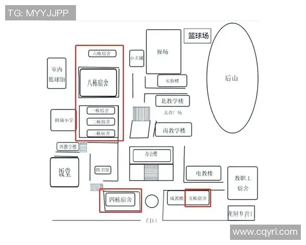 成都篮球队比赛经验揭秘:从训练到赛场的全景解析 成都篮球队比赛经验揭秘:从训练到赛场的全景解析