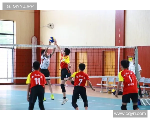 重庆排球队整体压制战术解析与实战应用探讨