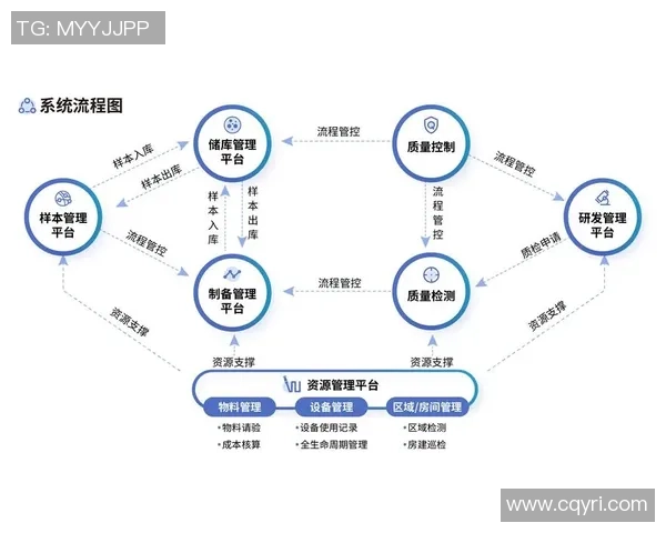 武汉篮球队区域防守革新之路探索与实践分析